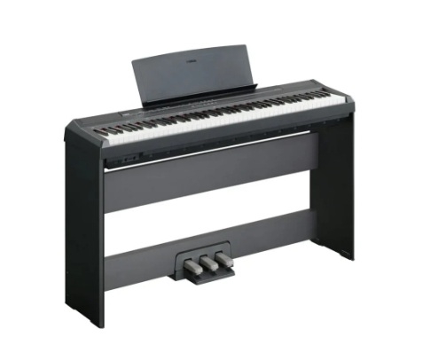 Yamaha P 105